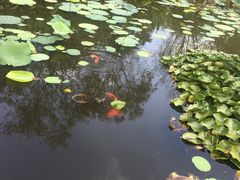 -长兴太湖图影湿地文化园