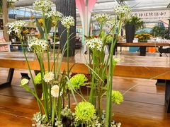 -荷兰花海