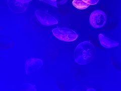 -沈阳海洋探索中心