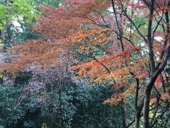 -上海市龙华烈士陵园