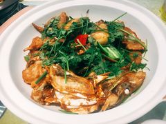 招牌砂锅鱼头-小北江河鲜(新城店)