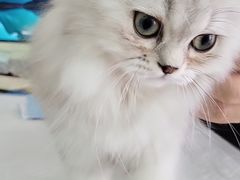 -宠颐生·恒爱宠物医院(静海店)