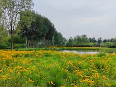 -东郊湿地公园