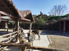 -上海野生动物园
