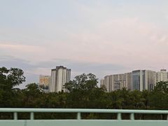 -万绿园