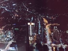 -顶鲜101美食美景餐厅
