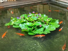 -惠食佳(滨江大公馆店)