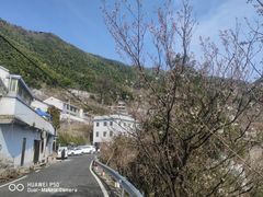 -四明山国家森林公园