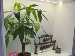 -听月·古法采耳体验馆(宽窄巷子店)