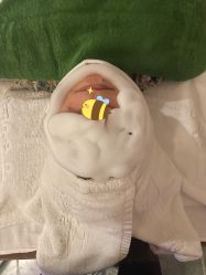 -静博士·养生养颜