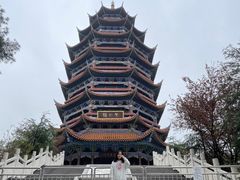 -铁山坪森林公园