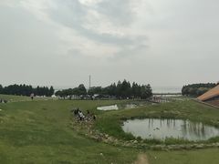 -滆湖低碳生态公园