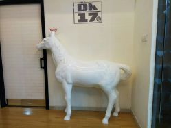 -DOS HOP潮上舞蹈