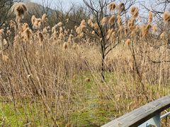 -西湖风景区-江洋畈生态公园