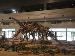 -自贡恐龙博物馆