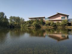 -溱湖国家湿地公园