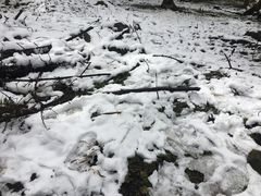 -硗碛藏寨·神木垒景区