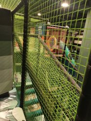 点击看大图 -MELAND CLUB亲子乐园·派对·餐厅(北京芳圆里ID MALL店)