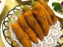 -丁老爷子苏香圆