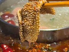 -枇杷园食为鲜火锅(南山店)