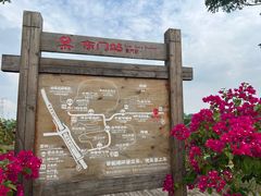 -池杉湖湿地公园