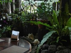 -自然餐厅(Phuket)