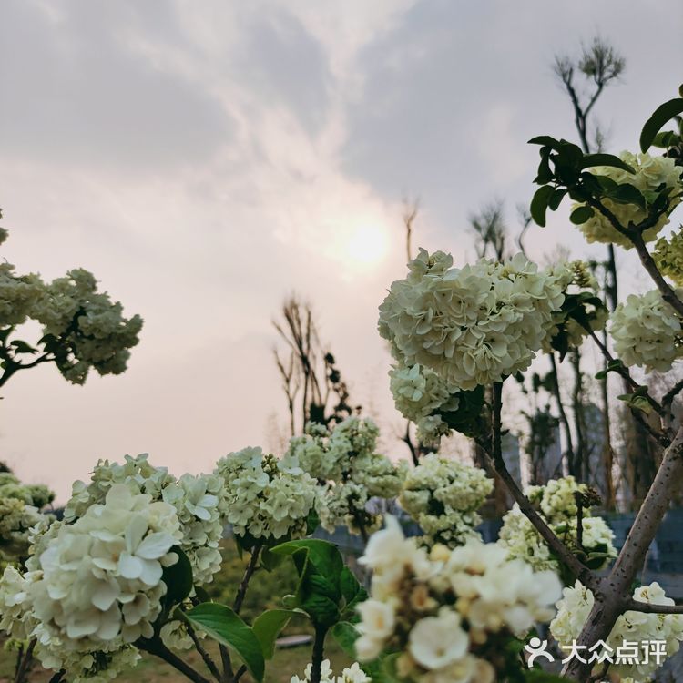 春天应该怎么过❓赏花~拍照~吃火锅❗