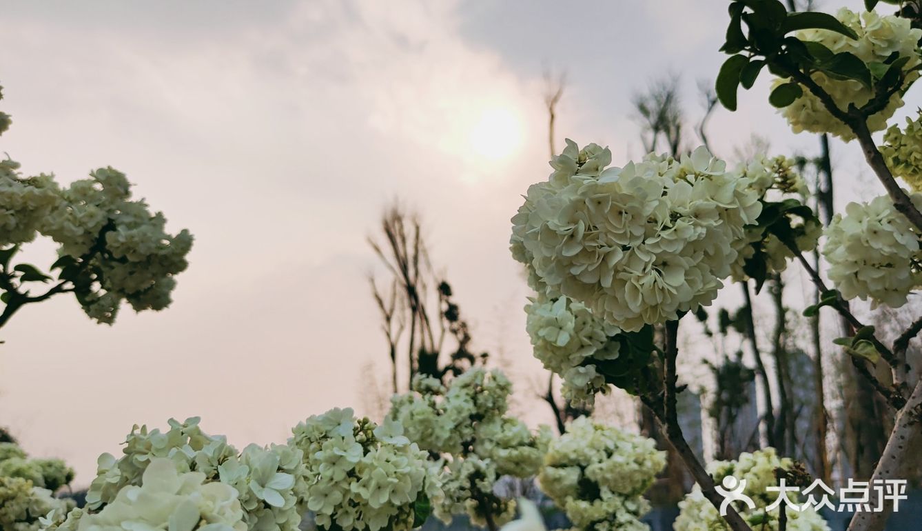 春天应该怎么过❓赏花～拍照～吃火锅❗