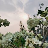 春天应该怎么过❓赏花～拍照～吃火锅❗