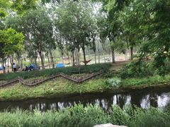 -东郊湿地公园
