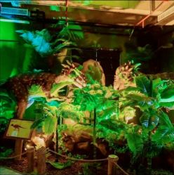 -恐龙探索乐园(磁器口店)