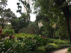 -九龙公园