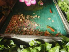 -怡泰SPA·泰疗按摩(徽宁路店)
