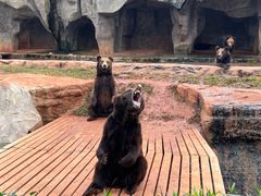 -海南热带野生动植物园