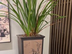 -花锦堂·隐庐