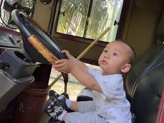 -合肥滨湖国家森林公园