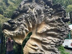 -山王坪喀斯特国家生态公园