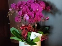 -亭亭鲜花店(中山北路店)