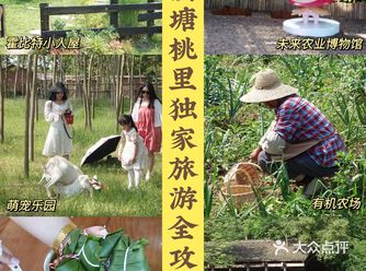 南京周边游濮塘桃里独家全攻略，超实用️