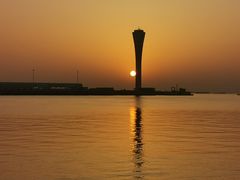 -上海吴淞炮台湾国家湿地公园
