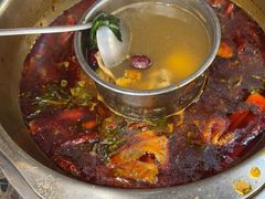 -金鼎雪山牦牛杂火锅(理县总店)