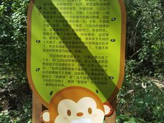 -大岭沟猕猴桃谷风景区