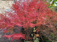 -云龙山