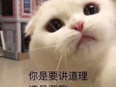 -幸福西饼面包茶饮(车公庙店)