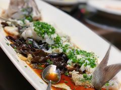 -十八棵（老龙井）御茶园(老龙井店)