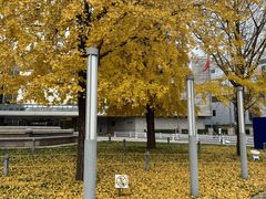 -北京新世纪饭店(动物园地铁站店)