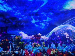 -南昌梵高星空艺术馆