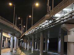 -深圳湾公园(南山区)