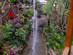 -呀路古热带植物园