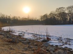 -大兴滨河森林公园